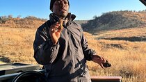 Kruger in Depth