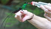 Private Rockland Bird Sanctuary Tour from Falmouth
