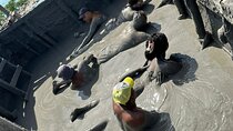 Live a VIP Experience Play in the Mud and Enjoy a Brunch