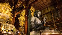 Nara 8hr Private Tour - Osaka DEP. with Licensed Guide