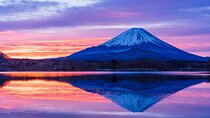 Mt. Fuji Private Car Tour from Tokyo