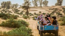 Authentic Safari in Vintage Land Rover with Traditional Dinner