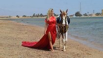 Horse Riding 2 Hours in Nabq Bay beach w/Transfer-Sharm El Sheikh