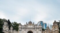 Private Tour of Istanbul from the Cruise Terminal