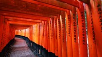 Kyoto Private Car Tour 