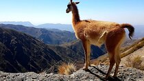 4X4 tour Villavicencio Puente del Inca