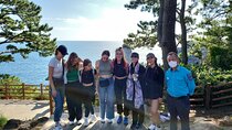 Private Day Tour A lot of Experienced Jumbo Taxi Driver in jeju 