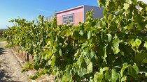 Lisbon Southern Region (Fernão Pó) Wine Tasting Private Tour 