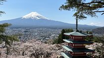 Full day Mt.Fuji&Hakone Tour with Guide-Driver 11-20 guests