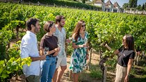 Winery Visit & Setubal Fish Market Tour with Tasting from Lisbon