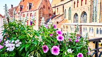 Bruges Tour from Cruise Port and Venice of the North Canal Cruise