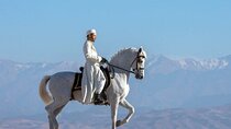 Discover Palmeraie Grove on a 2 Hours Horseback Ride - Marrakech