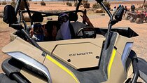 Palmeraie Excursion : Buggy, Tea with free Transport