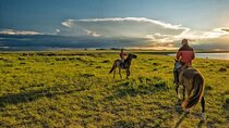 2-Hour Horseback Riding through Palmeraie Grove - Marrakesh