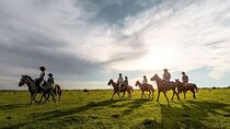 Adventure Horse Riding Palmeraie Grove & transfer- Marrakech