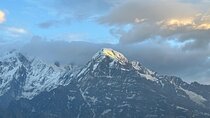 7 Day Mardi Himal Trek with Chitwan Jungle Safari Tour