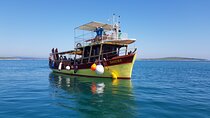 Private Sunset Dolphin Excursion with Dinner and Animation 