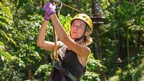 Extreme 35 Platforms Jungle Zipline Adventure Park
