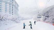 Elysian Ski Resort and Eobi Ice Valley Day Tour from Seoul