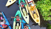 Uzi Island Mangrove Adventure – Kayaking & Village Discovery