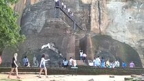 Dambulla, Sigiriya and National Park Safari Tour from Kandy