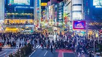Tokyo Shinjuku Night Tour with English-Speaking Driver