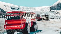 4-Day Rockies Explorer Tour Pkg: Banff, Columbia Icefield, Yoho 