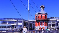 "Half-Day Robben Island Tour with Customizable Options Included