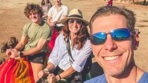 Atlantic Charm: Day Tour to Asilah with Coastal Drive & Camel