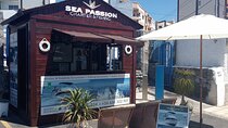 Whale watching and snorkelling in the whale sanctuary
