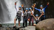 Rainforest Falls Waterfall Adventure by Pure Trek