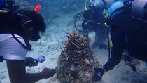 Nature and Ecosystem Restoration Tour in Rosario Islands