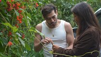Urban Orchard in Desierto de los Leones in Mexico City