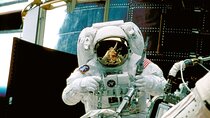  Houston Private City Tour with NASA Space Center Visit