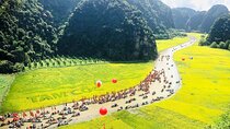 From Ha Noi - FullDay Trip Ninh Binh 