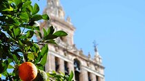 Essential Seville Tour