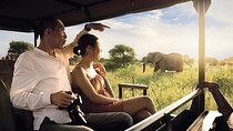 3 Day Kruger Tremisana Big 5 Safari from Johannesburg