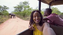 3 Day Kruger Safari Tour from Johannesburg