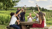 Alsace Wine Route - Private Wine Tour from Strasbourg Area
