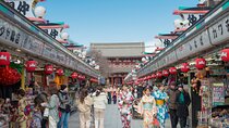Tokyo Small Group Tour with Guide