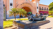 Discover Santa Cruz de Tenerife, The Ultimate City Tour