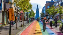 Reykjavik City Half Day Private Tour
