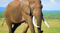 5 days Garden Route Glory with breakfast and hotel included