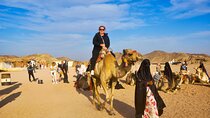 Discover the Desert Magic with an Exciting Camel Ride - Hurghada