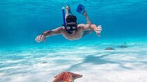 Cayman Combo Tour: Starfish Point, Stingray City & Coral Gardens