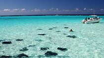 Grand Cayman Stingray City and Reef Snorkeling Combo Tour 