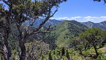 Park City Hiking Activity with Local Guide
