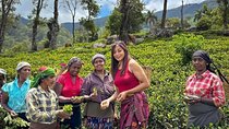 Sri Lanka 8 Day tour Private Guided Tour include top rated Hotels