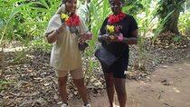 Half Day Spice Tour in Zanzibar 