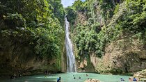 Moalboal Sardine Run, Sea Turtle and Mantayupan Falls